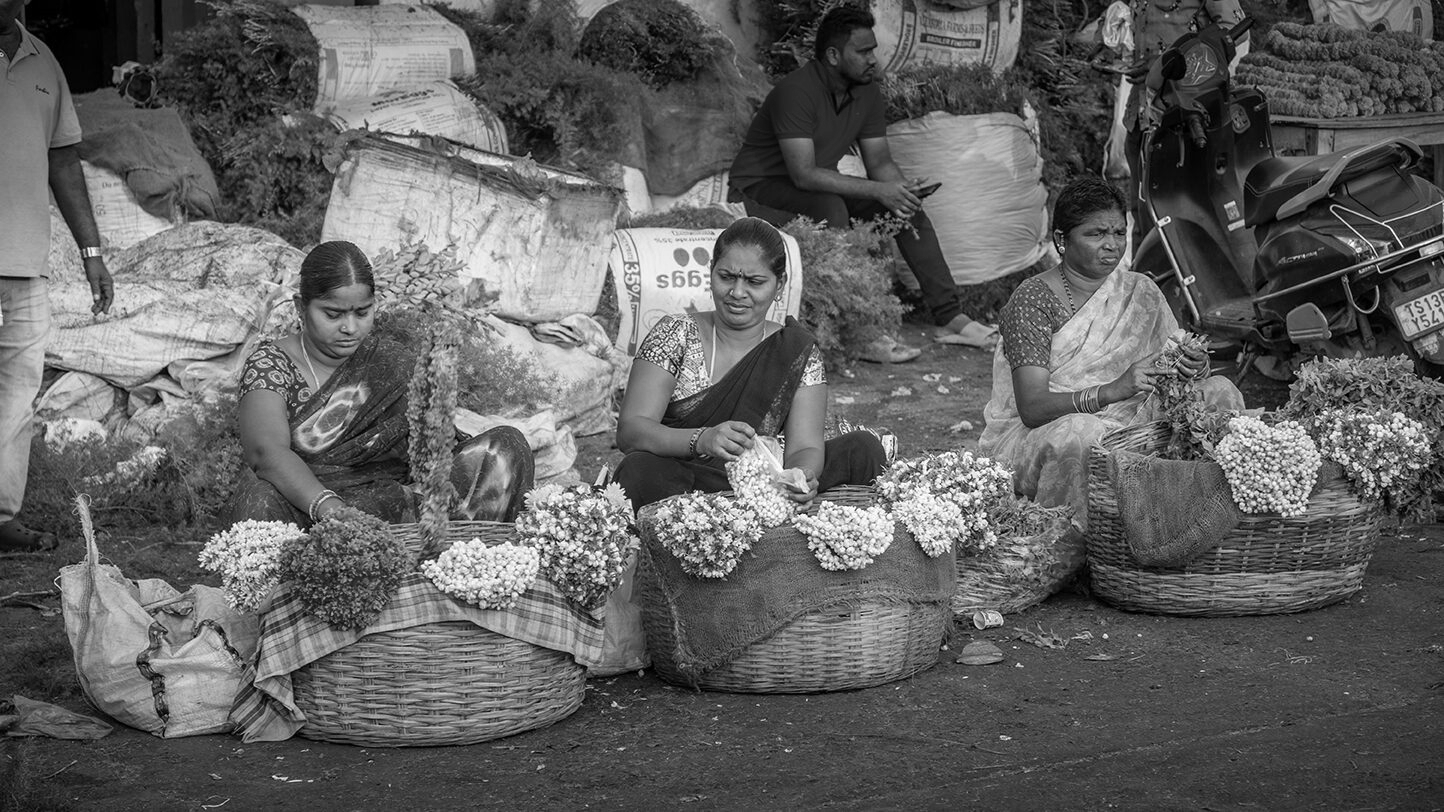 Gudimalkapur: The Market That Keeps Hyderabad in Bloom