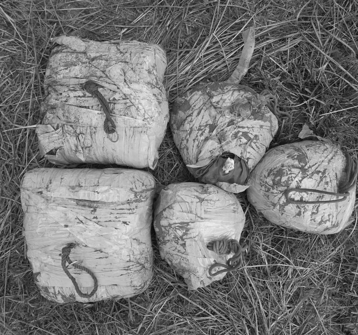 Punjab: Nearly 20 kg heroin recovered as four arrested in major anti-smuggling operation