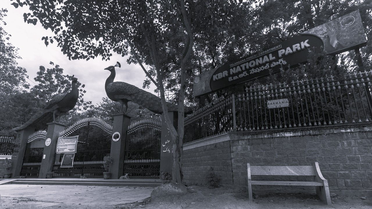 Oxygen for the City.. Nature’s Green Lap: Hyderabad’s ‘Green Hearts’ KBR and Mrugavani!