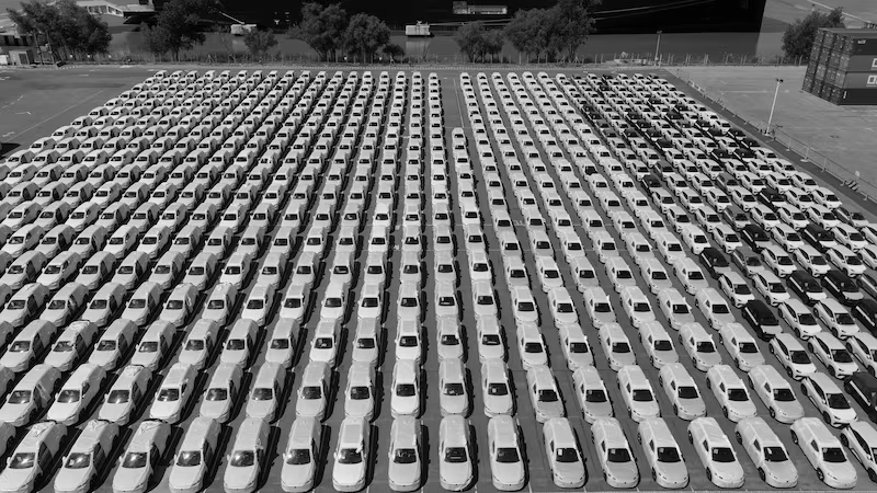 Argentina welcomes first shipload of Chinese EVs