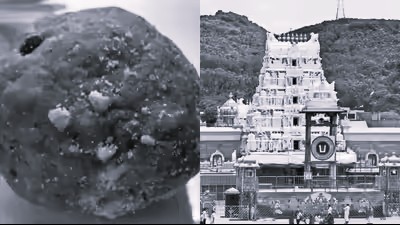 ED registers money laundering case in Tirupati laddu ghee scam