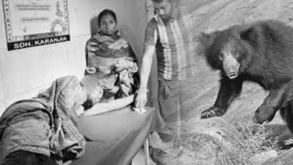 When Your Woman Axes a Bear for You!! Wife Saves Husband in Odisha Forest