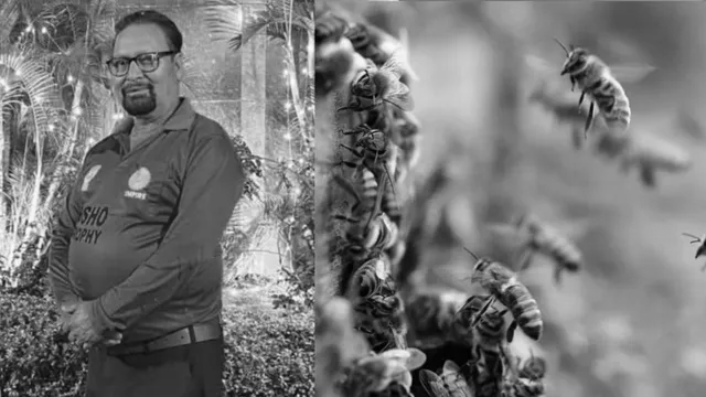 Umpire dies, several injured as Bee swarm attacks Cricket match in Unnao