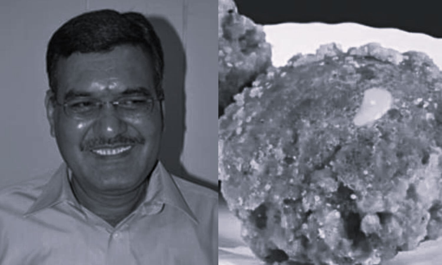 తిరుమల లడ్డూ కల్తీ వ్యవహారం: విచారణకు ఏకసభ్య కమిటీ నియామకం