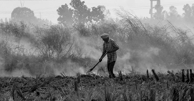 Punjab, Haryana Should Follow Bihar’s Model for Banning Crop-Residue Burning