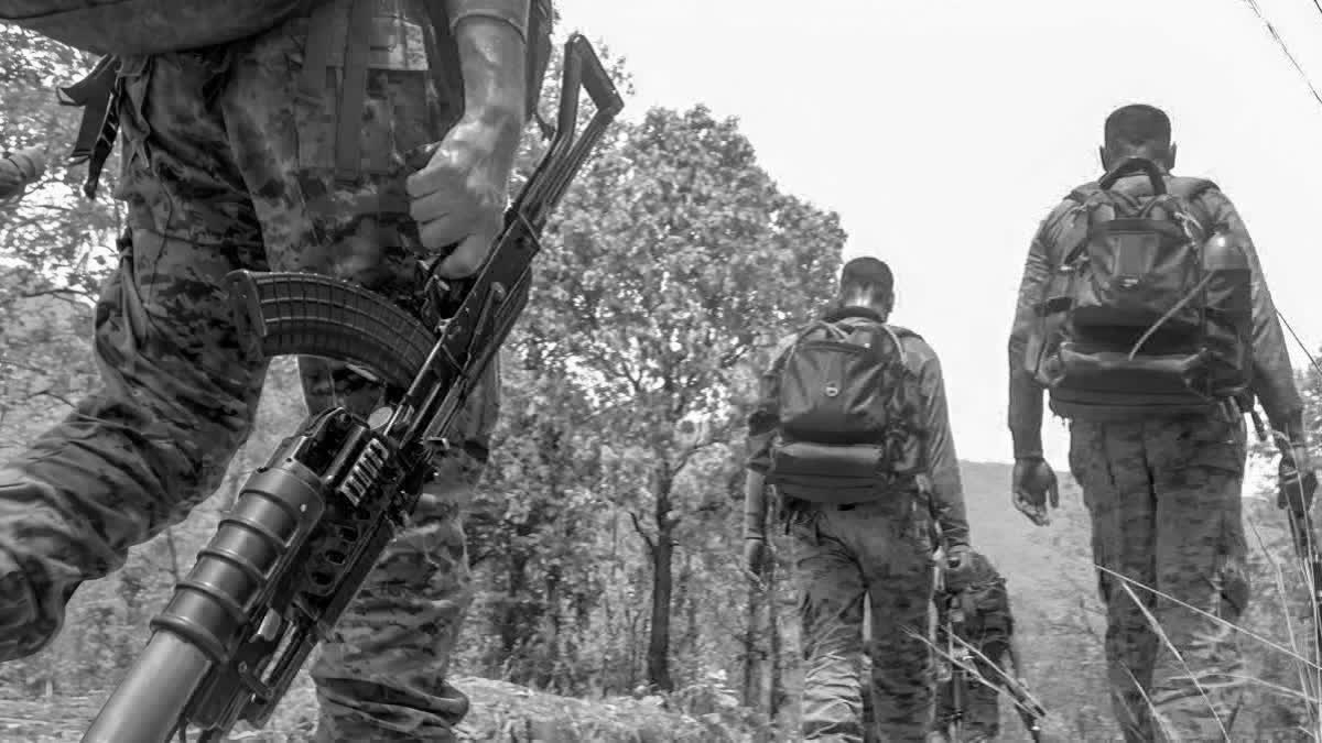 Two Maoists killed in encounter along Odisha forest border