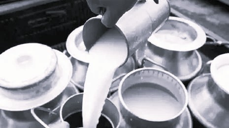 ‘White Poison’ Tragedy: Four Dead, Many Hospitalised in Rajamahendravaram