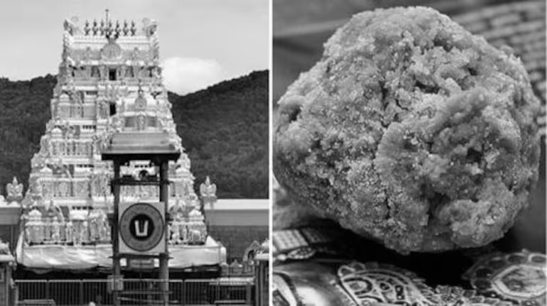 TTD Sets Up Ultra-Modern Lab to Guarantee Tirumala Laddu Quality