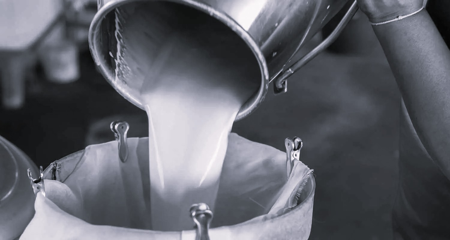 No Trace of Urea in Contaminated Milk Tragedy, Say Officials