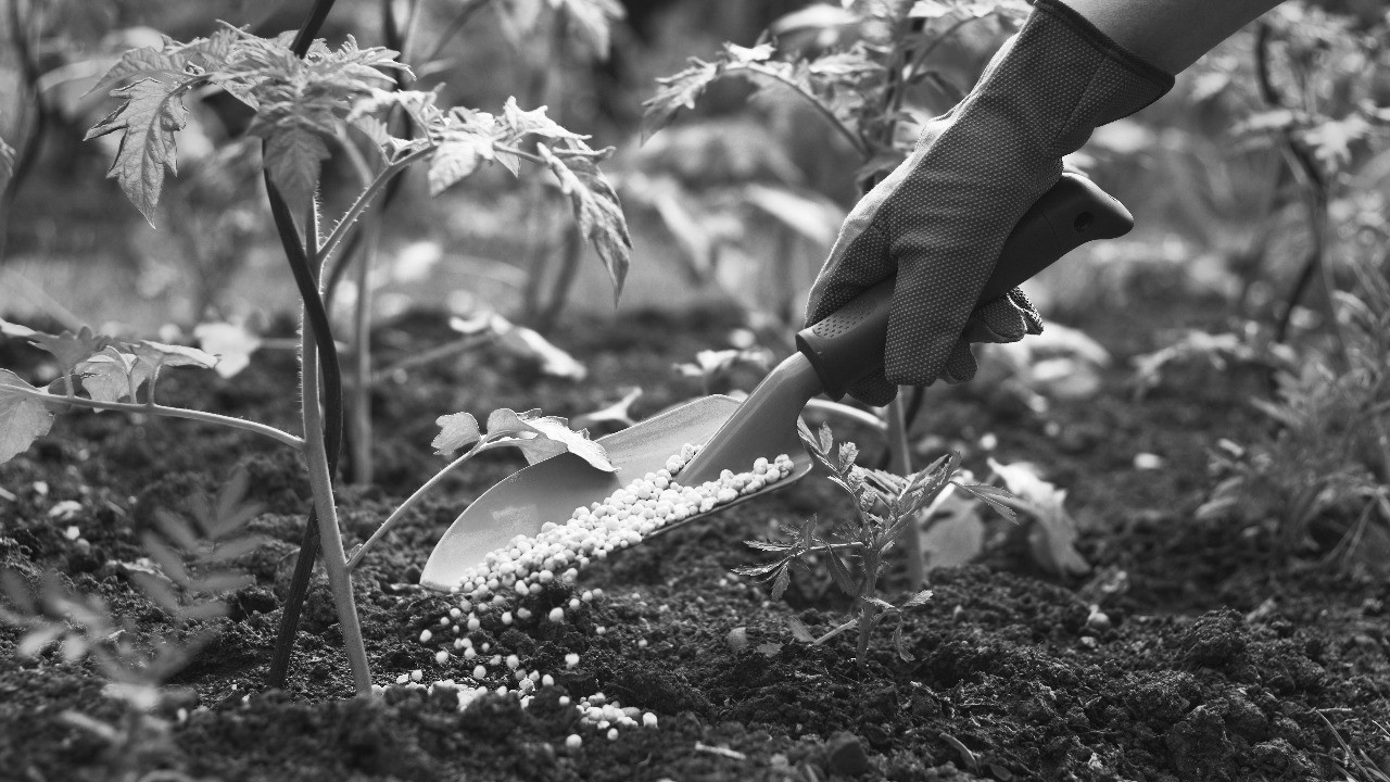 India has enough fertiliser for now, but West Asia conflict could threaten future supply