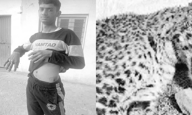 18‑year‑old fights leopard bare‑handed, kills it with stones in Himachal Pradesh