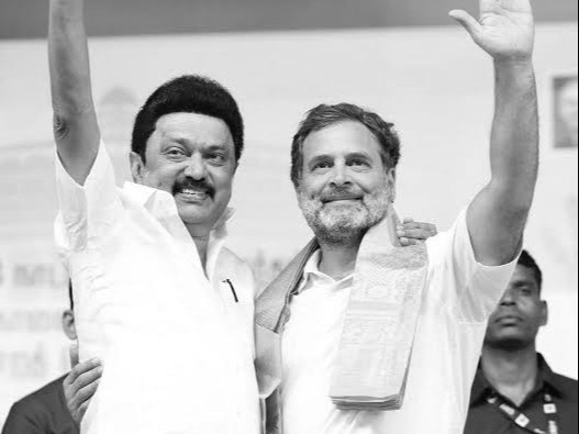 Congress gears up for Tamil Nadu polls, forms key election panels