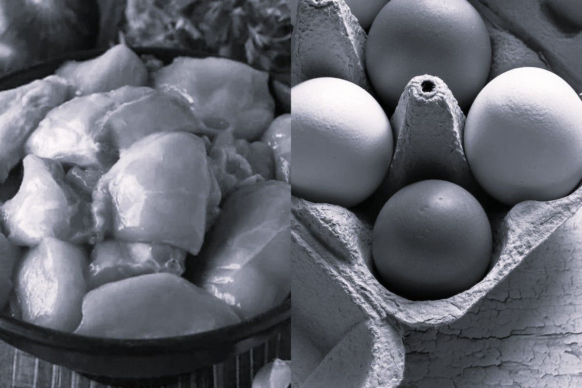 Chicken Prices Rise, Egg Prices Fall in Telangana