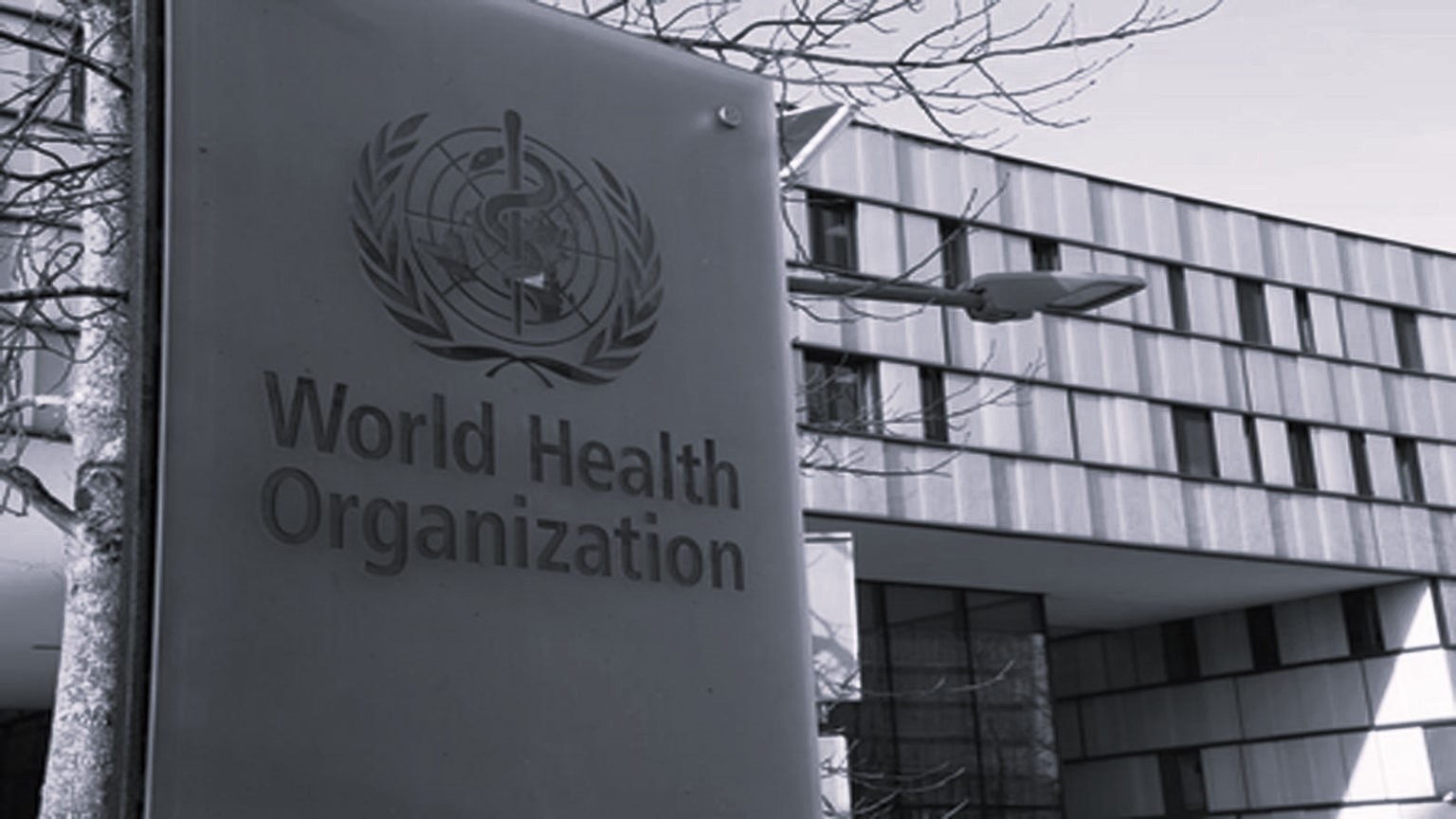 Argentina Exits WHO, Prioritises Sovereignty in Health Policy