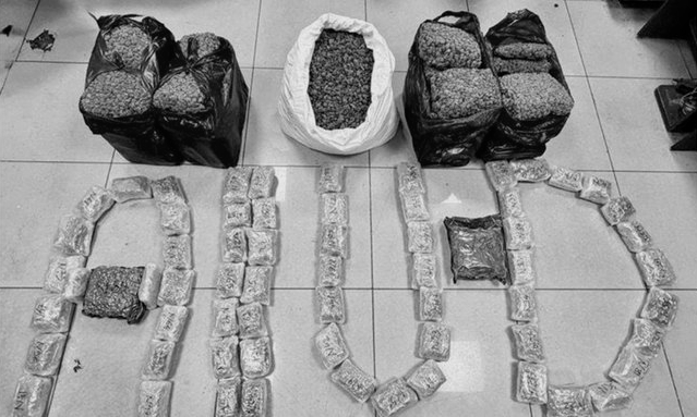 ₹64 Cr Hydroponic Ganja seized at Chhatrapati Shivaji Maharaj International Airport, 4 arrested