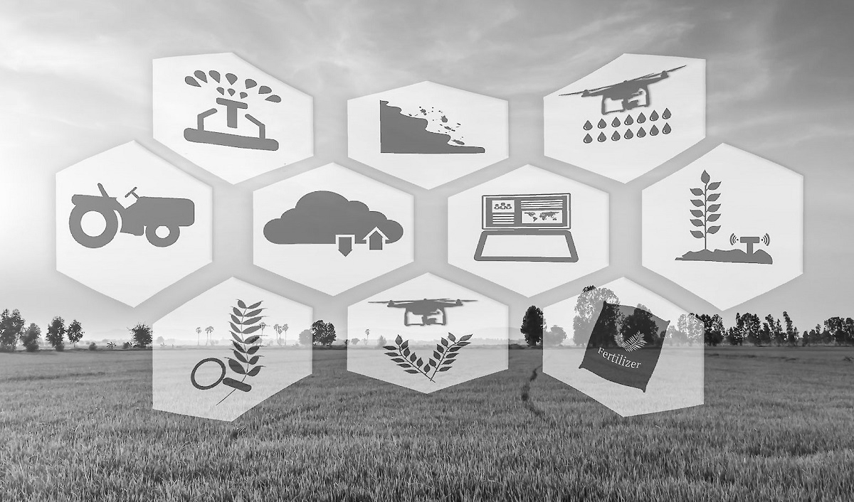 India’s Winter Agriculture Hinges on Unpredictable Western Disturbances