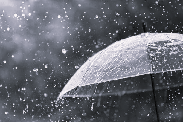 Heavy Rainfall Expected in Telangana for Two Days