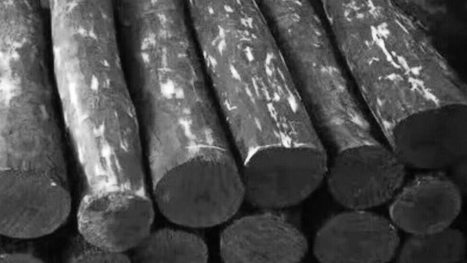 DRI seizes 512 kg Red Sanders hidden in veneer at Cochin port