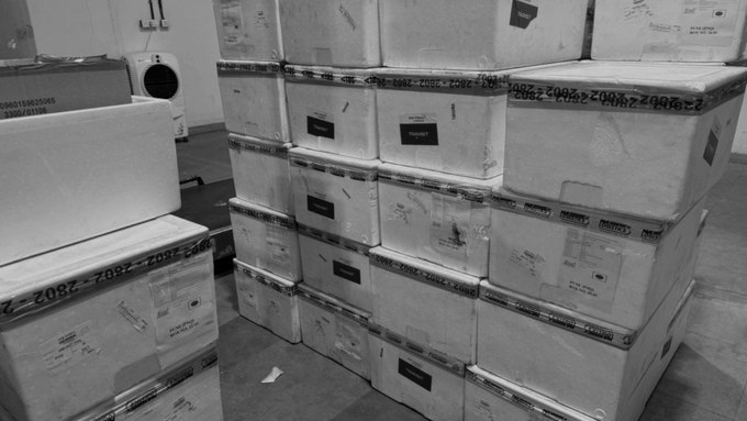 ₹26.8 Cr Hydroponic Marijuana seized at Pune airport, One arrested