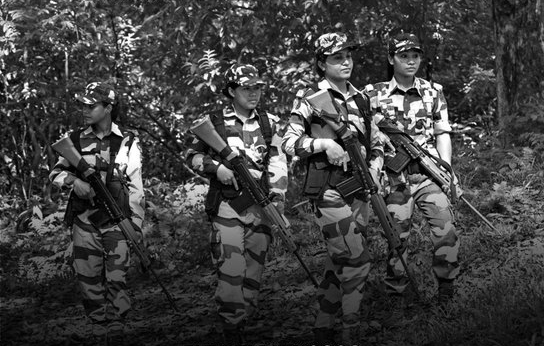 NGT flags environmental risks, stops Forest Force Deployment in Assam