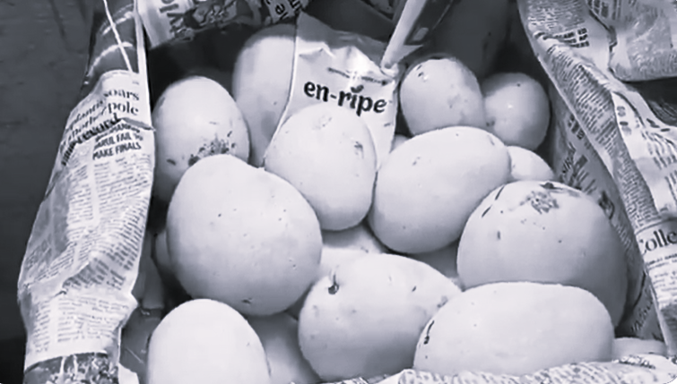 Hyderabad Police Seize 7 Tonnes of Artificially Ripened Mangoes