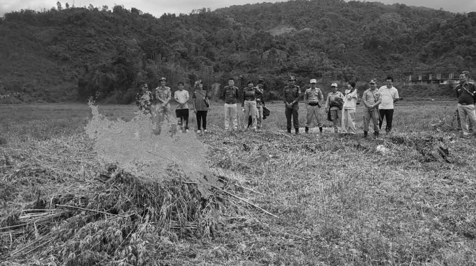 Arunachal authorities destroy 20,000 sq m of illegal cannabis