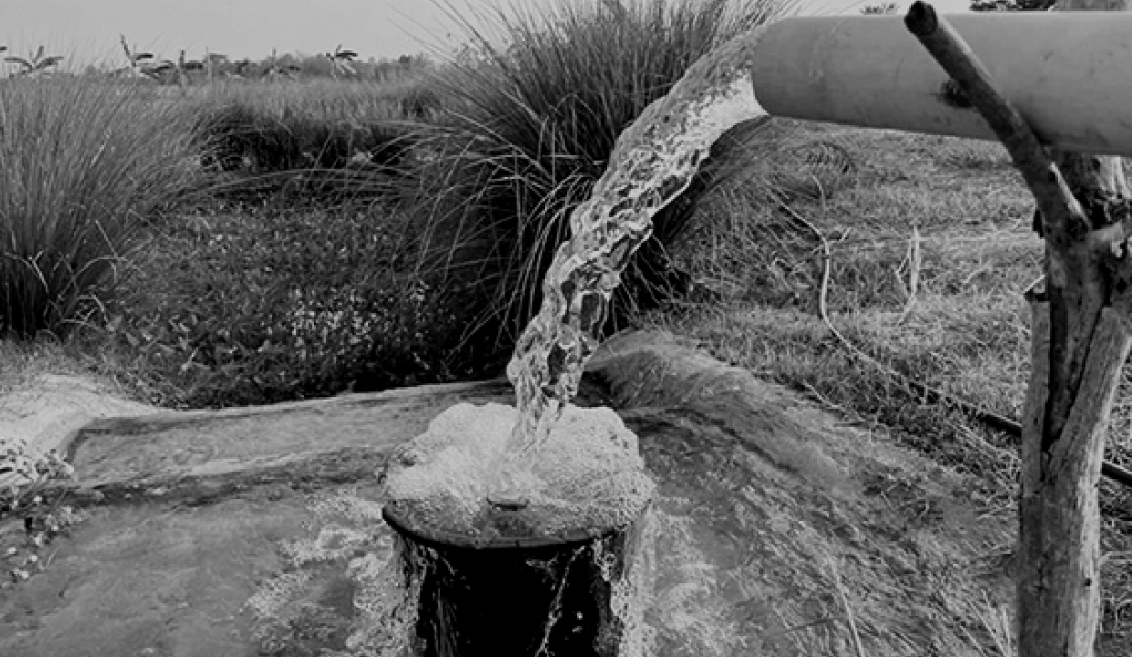 PAC flags gaps in groundwater mapping despite drop in arsenic, fluoride levels