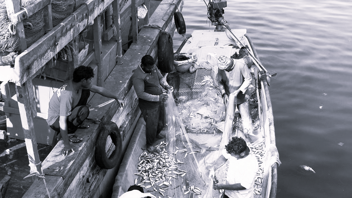 AP Enforces 61-Day Fishing Ban to Revive Marine Ecosystem