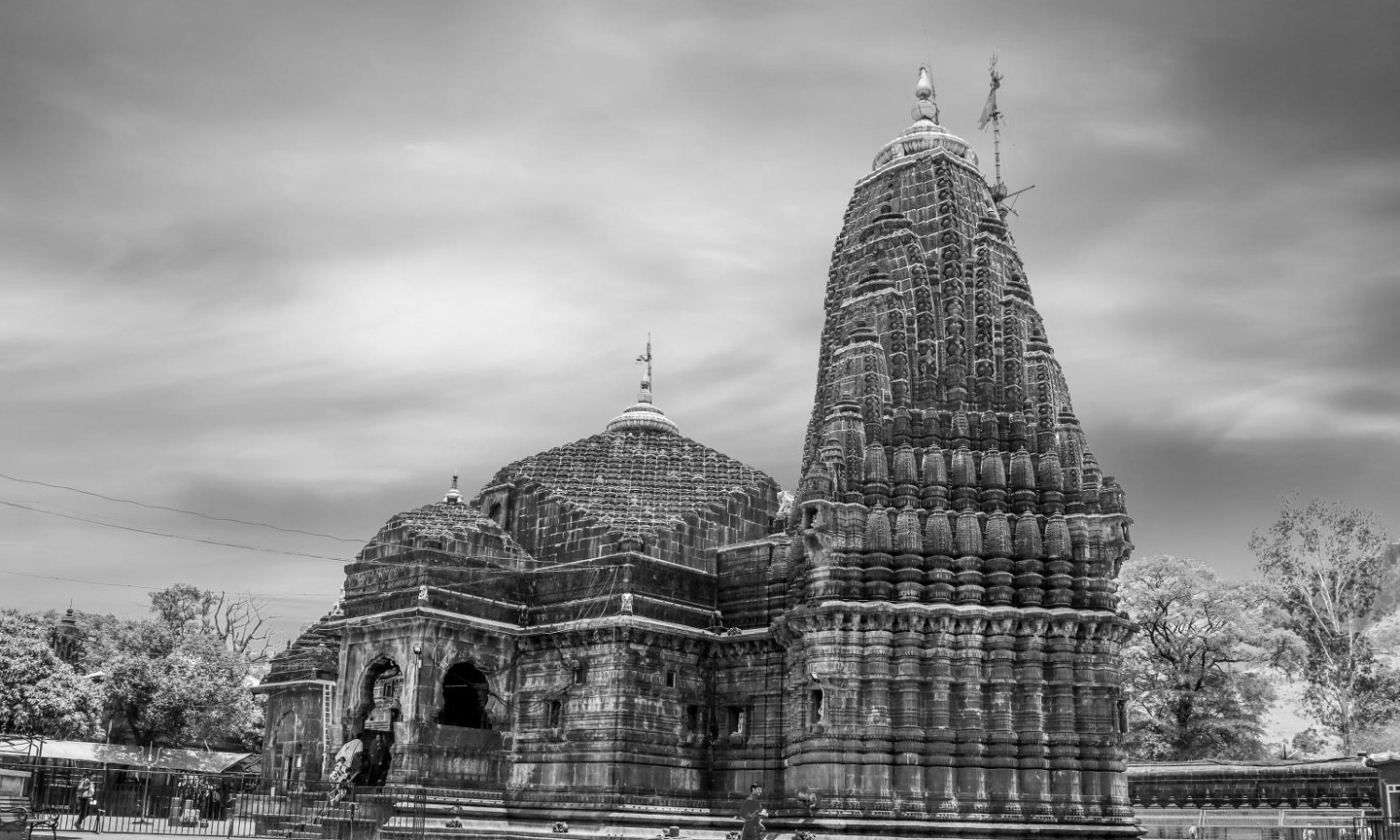 VIP darshan fraud exposed at Trimbakeshwar temple, trustee held