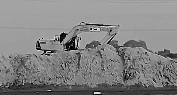 Illegal sand mining threatens Gharial habitat, SC steps in