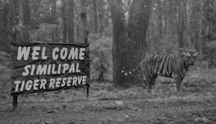 Poacher nabbed inside Similipal Tiger reserve with illegal gun and hunted wildlife