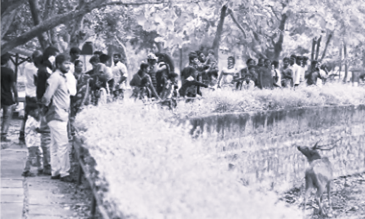 ₹21 Lakh Donation Boost for Tirupati Zoo’s Wildlife Care