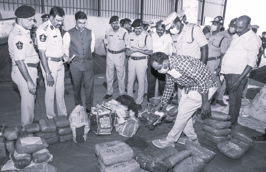₹20 Crore Worth Cannabis Torched in Renigunta Crackdown