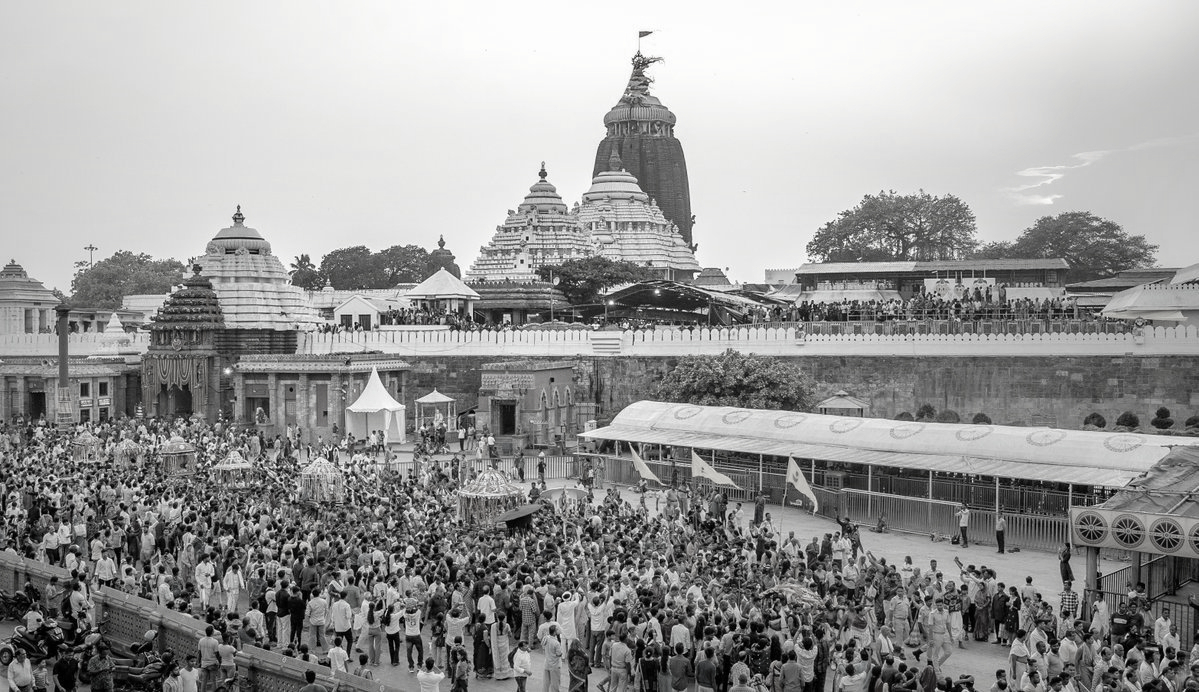 Chariot Construction Begins For Jagannath Rath Yatra, Rituals Mark Sacred Start In Puri