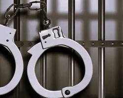 IPL Betting Racket Busted in Nellore, 12 Arrested