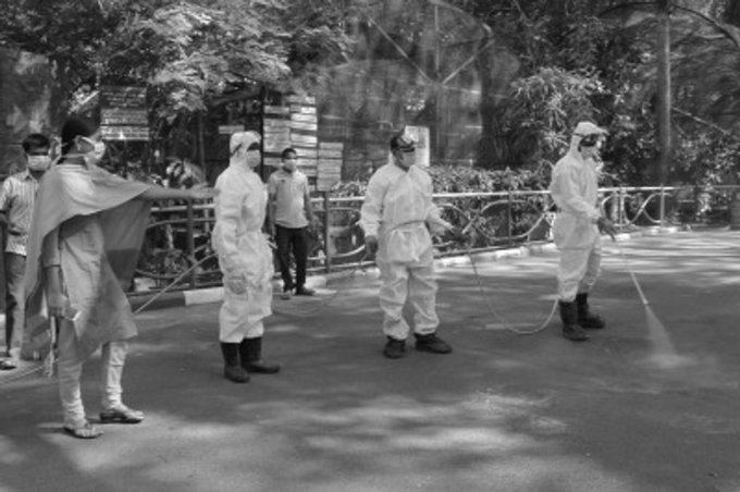 Karnataka Contains H5N1 Bird Flu Outbreak After 10-Day Surveillance Drive