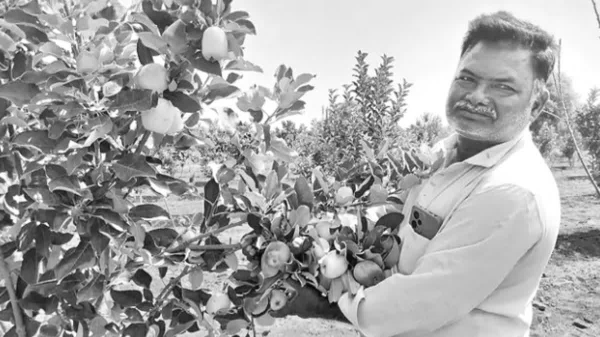 Anantapur Apple Cultivation: A New Chapter in South Indian Horticulture