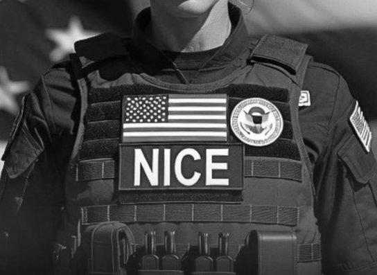 Trump Wants ICE to Sound NICE, Rebrands Agency with a Cold Reception