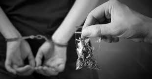 Passenger Held at Bengaluru Airport with Hydroponic Ganja Worth ₹1.28 Crore