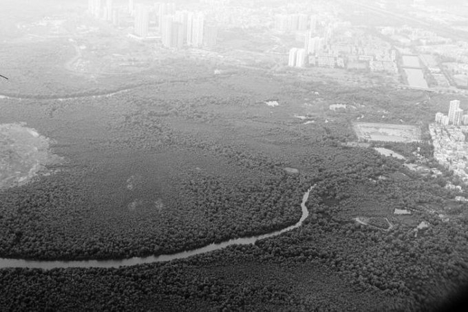 Centre Warns States Over Incomplete Compliance In Illegal Forest Land Use Cases