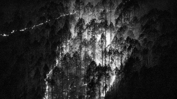 Uttarakhand To Tamil Nadu: Parts Of India In Grip Of Forest Fires