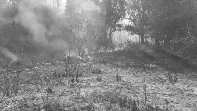 Uttarakhand To Tamil Nadu: Parts Of India In Grip Of Forest Fires