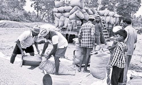 Telangana Deploys 8,525 Procurement Centres, Targets 90 LMT Paddy