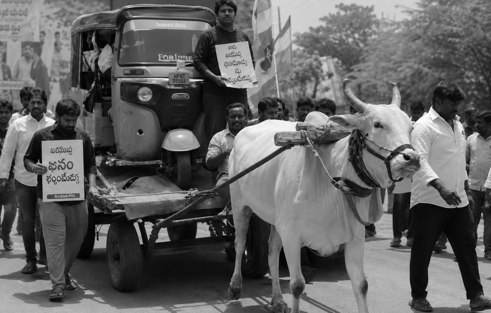 Rashmi Gautam Sparks Debate Over Animal Cruelty Remarks