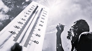 Severe Heatwave Grips Andhra Pradesh, Warnings Issued for 64 Mandals