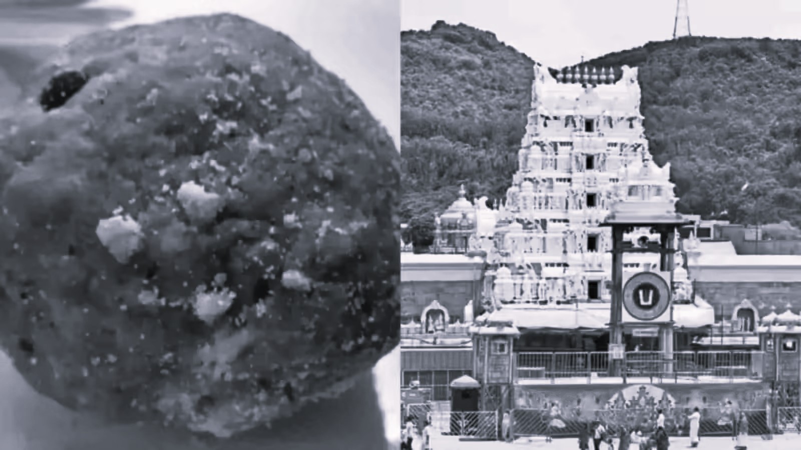 Andhra govt forms panel to act on TTD ghee probe findings