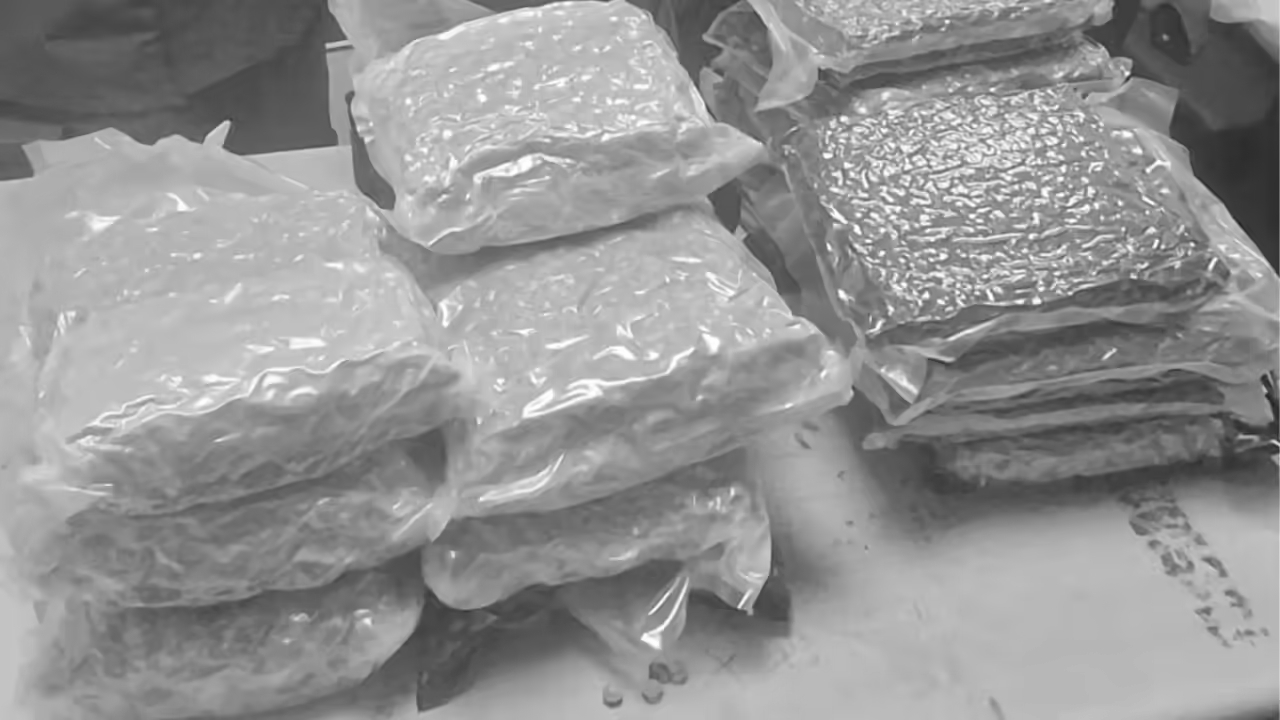 Delhi Airport Drug Bust: Two Arrested With ₹9 Crore Marijuana Hidden In Snack Packets From Vietnam