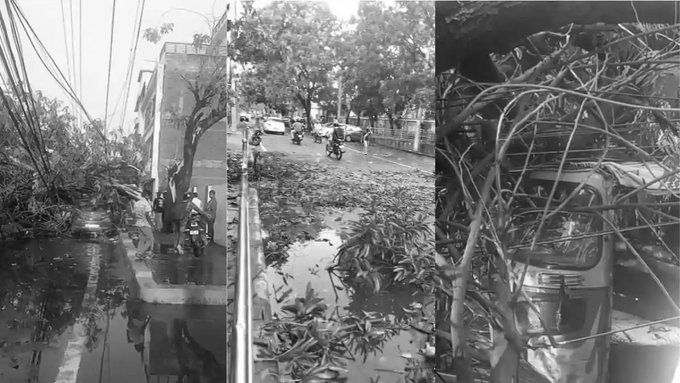 Seven Dead in Bihar as Lightning Strikes and Storm Uproots Trees in Multiple Districts