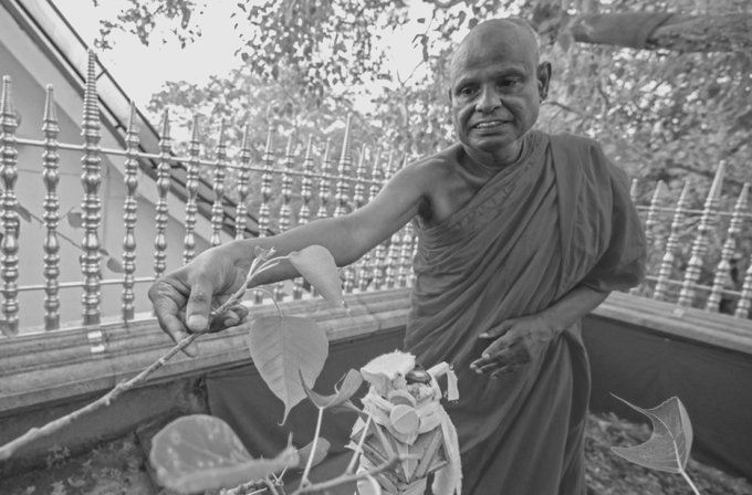 Senior Sri Lankan Monk Pallegama Hemarathana Arrested Over Child Sexual Abuse Allegations