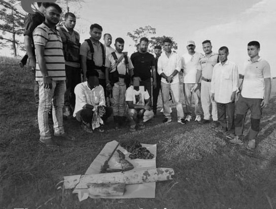 Three Held for Alleged Rhino Poaching Plot in Kaziranga National Park